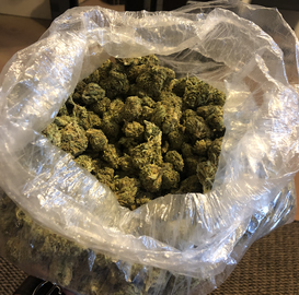 Tucson Marijuana Lawyer